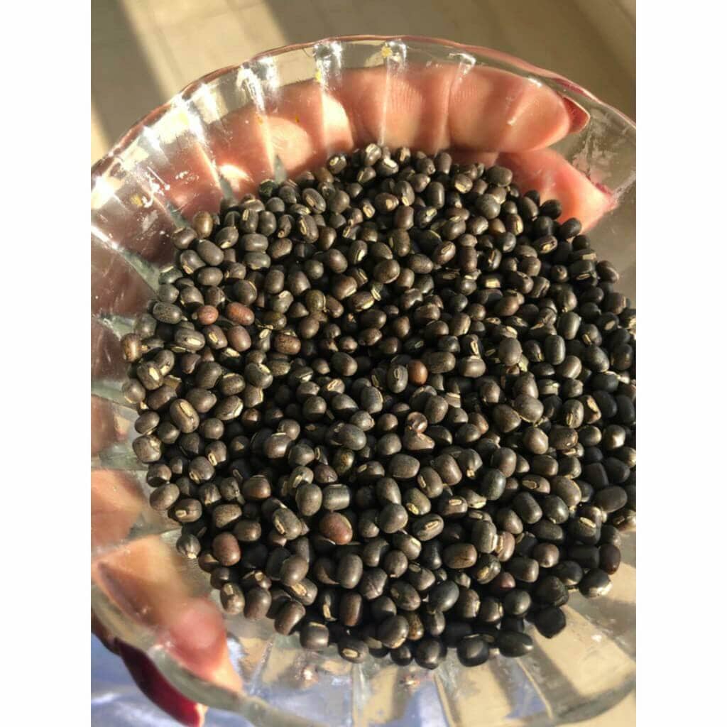 Balaayah Black Gram Bright Body Booster - With Sweet & Citrusy Aroma of Jasmine, Cardamom, Orange and Lemongrass Body Oil iYURA